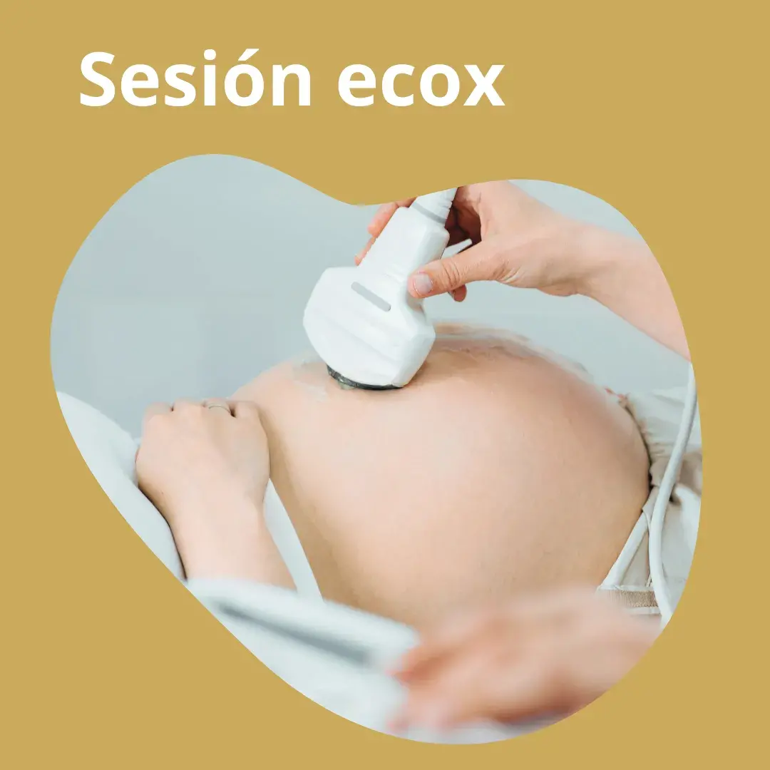 Ecox Session Santa Pola